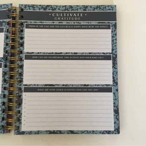 NEW Gratitude Journal with Guided Prompts | Lady Jane - Picture 10 of 14